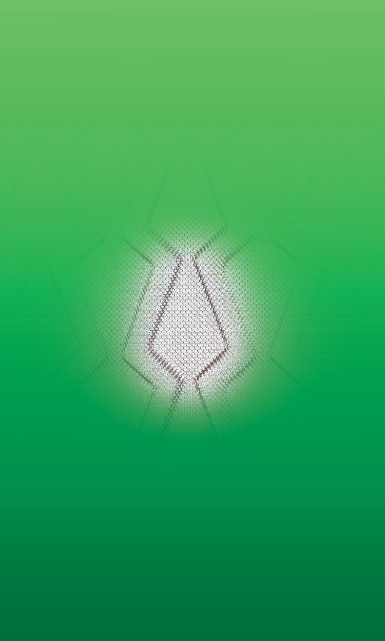 Products Leaf Defender™ Gutter Guards